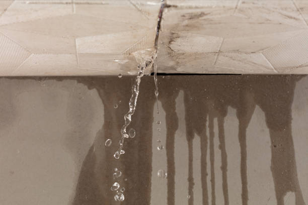 Professional Sewage Cleanup technician working in Foley, MO
